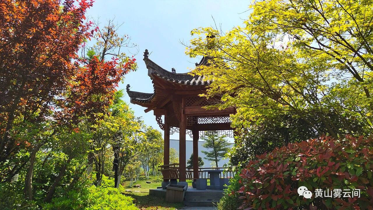 1762655634867380.jpg 6bb1797f73b5e26009868d065e1a45a9.jpg