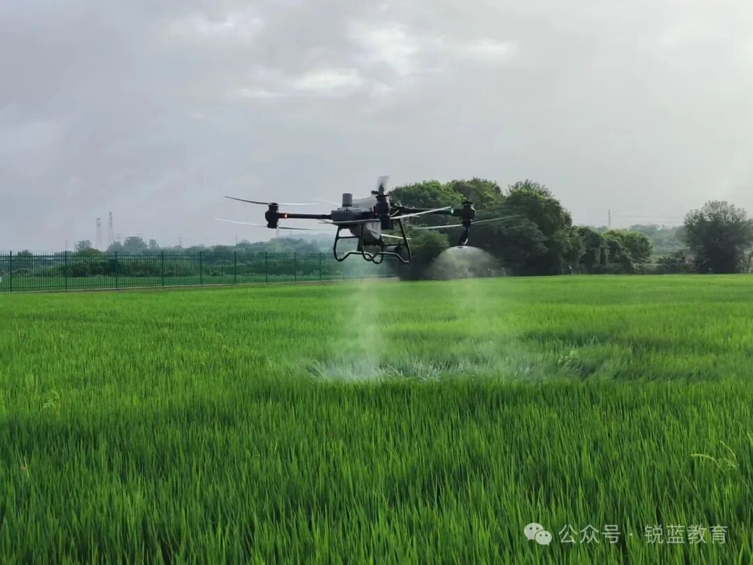 1762665992915675.jpg 91f337447ff3e9bb17aee61f7fe99709.jpg