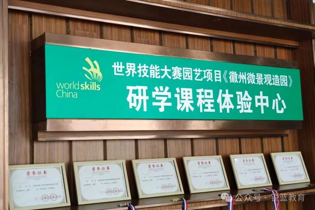 1762710292578999.jpg 1.jpg