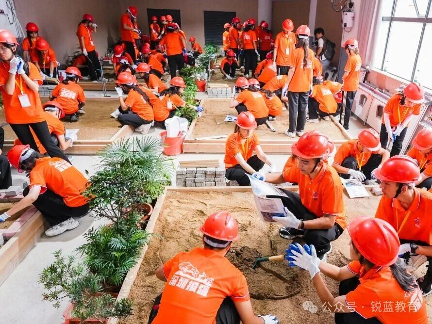 1762710370893038.jpg 7.jpg