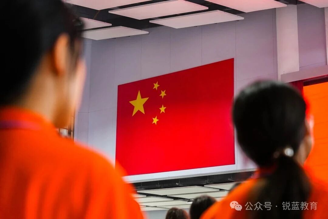 1762710439891503.jpg 10.jpg