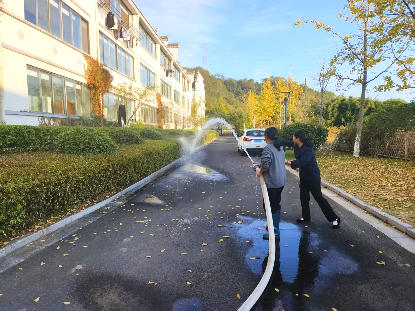 1762840097392695.jpg 3.jpg