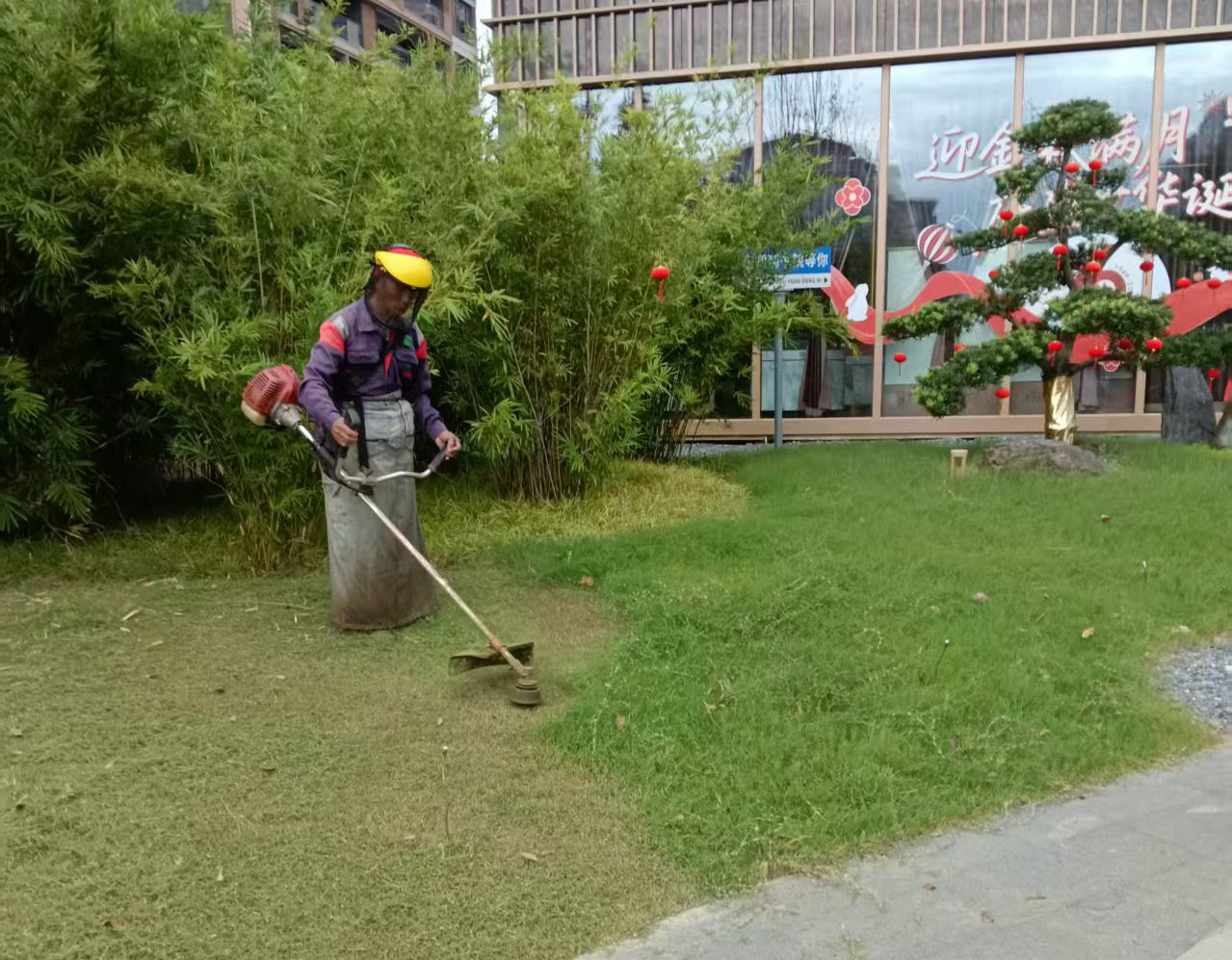 1762841354164593.jpg 2.jpg