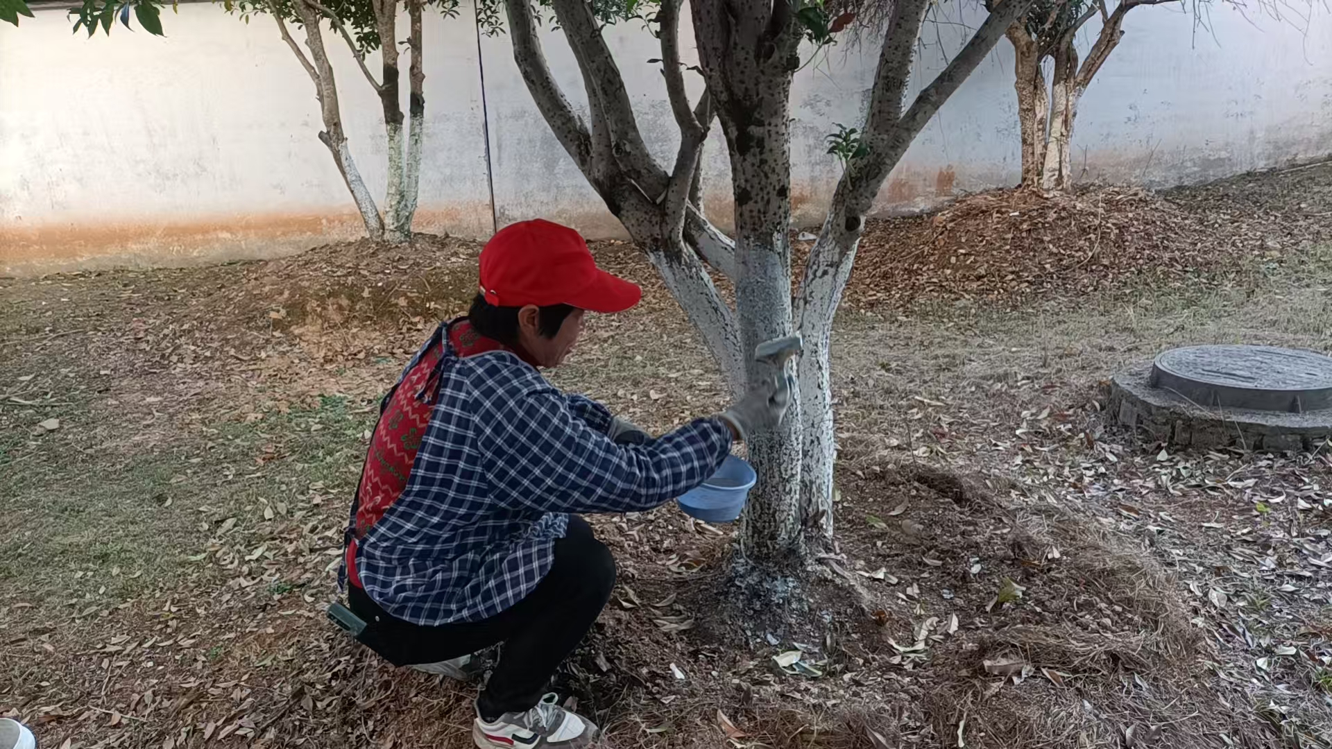 1763714035486848.jpg 60f6a055ec7167673b79f811d053307.jpg