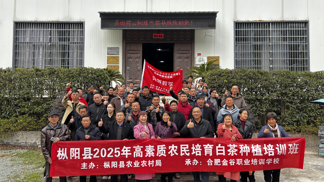 1765859070161414.jpg 2.jpg